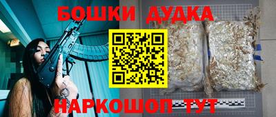 ешки Дубна