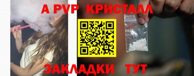ешки Дубна